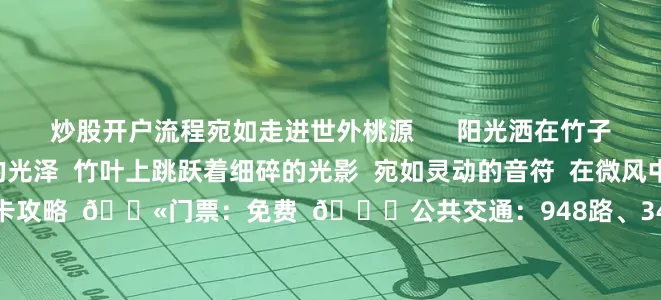 炒股开户流程宛如走进世外桃源      阳光洒在竹子上  泛着柔和而迷人的光泽  竹叶上跳跃着细碎的光影  宛如灵动的音符  在微风中奏响着欢快的乐章      打卡攻略  🎫门票：免费  🚇公共交通：948路、341路公交车至华峰寺总站  🚗自驾：导航至“华圣公园”  来源：文旅黄埔、广州黄埔发布、中国广州发布、长岭国家登山健身步道、广州户外闲游记