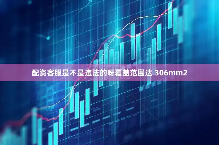 配资客服是不是违法的呀覆盖范围达 306mm2