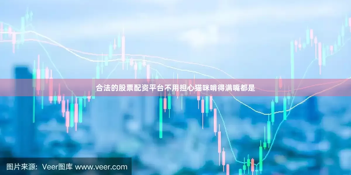 合法的股票配资平台不用担心猫咪啃得满嘴都是