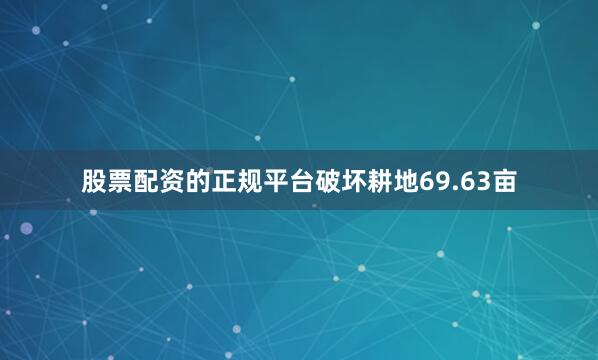 股票配资的正规平台破坏耕地69.63亩